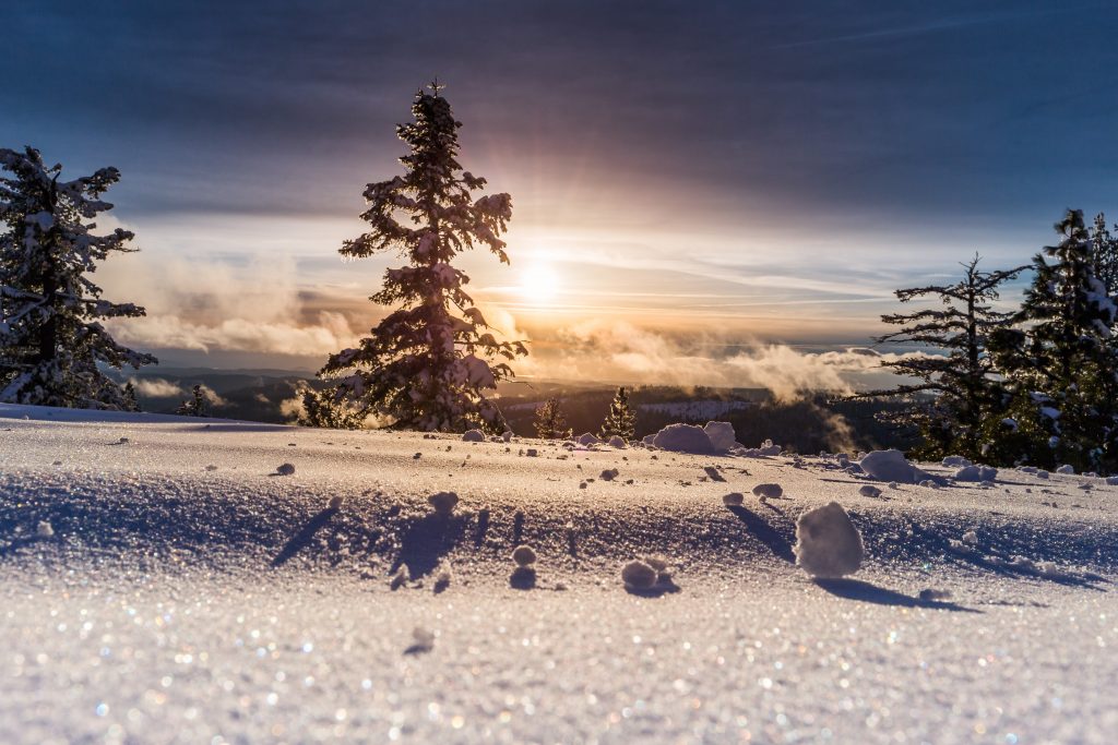 輝く雪景色