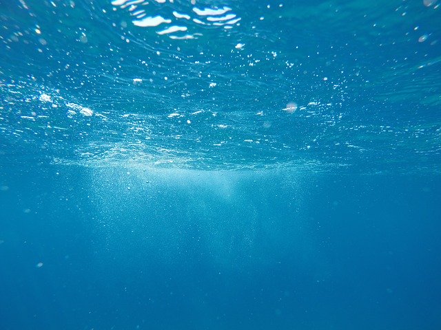 海の中
