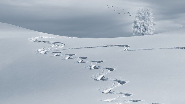 雪のあしあと
