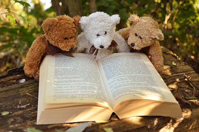 本を読む熊