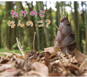 たけのこなんのこ?