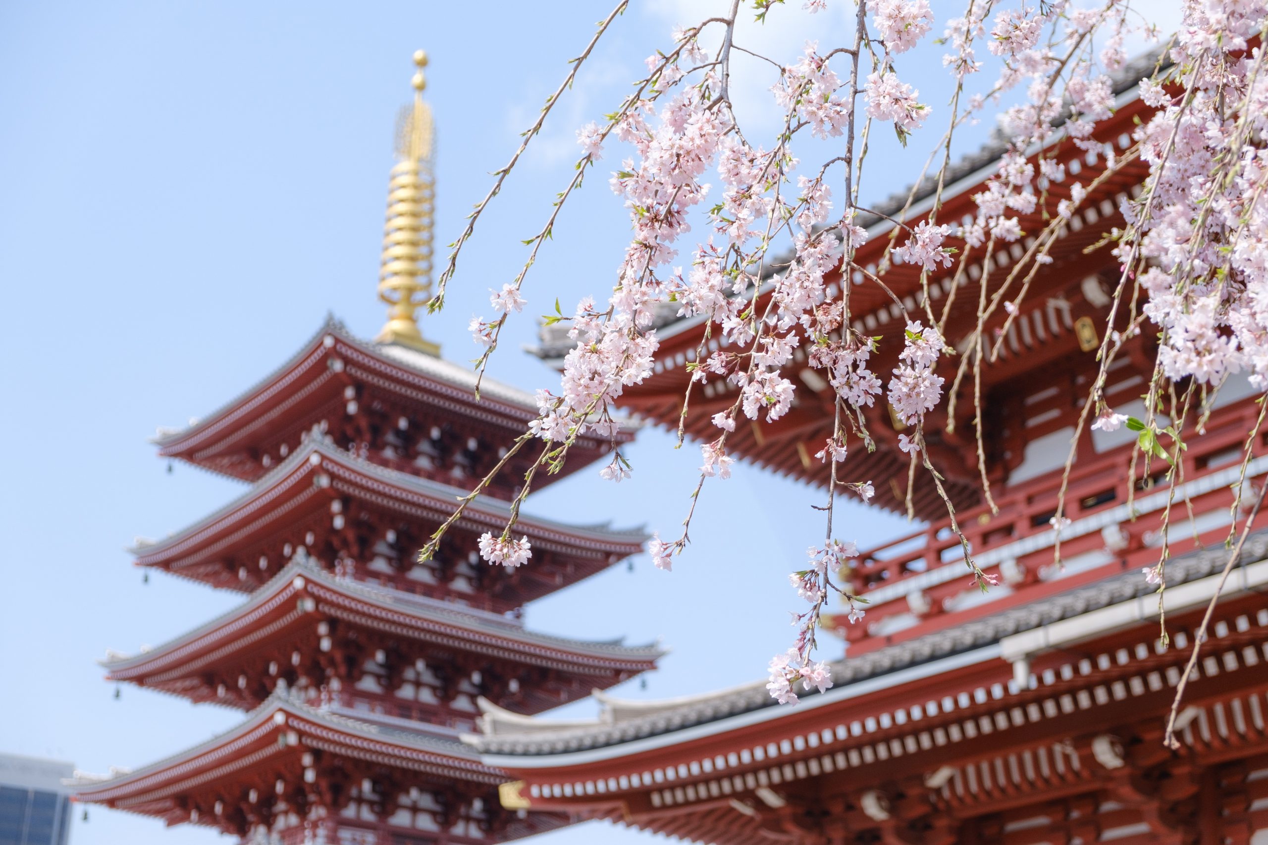 神社