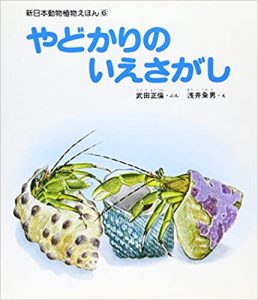 やどかりのいえさがし