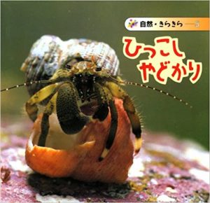 ひっこしやどかり