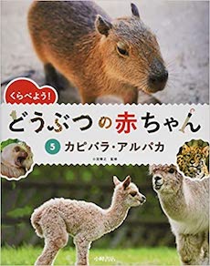 カピバラ・アルパカ(くらべよう! どうぶつの赤ちゃん)