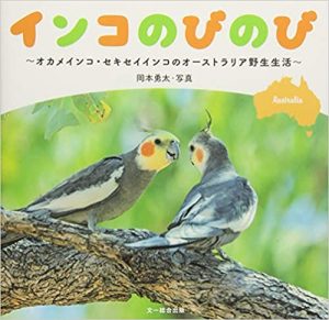 インコのびのび