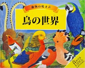 鳥の世界