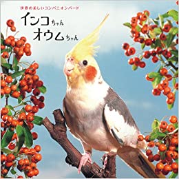 インコちゃんオウムちゃん