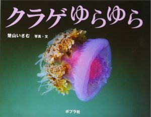 クラゲゆらゆら