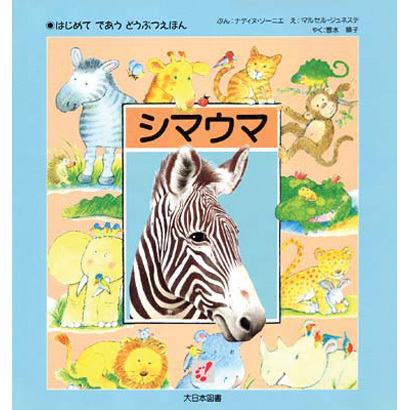シマウマ