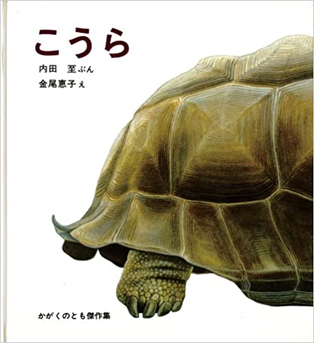 絵本 亀 甲羅 絵本 亀 甲羅