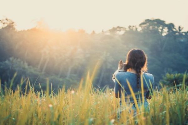 夢　夕日