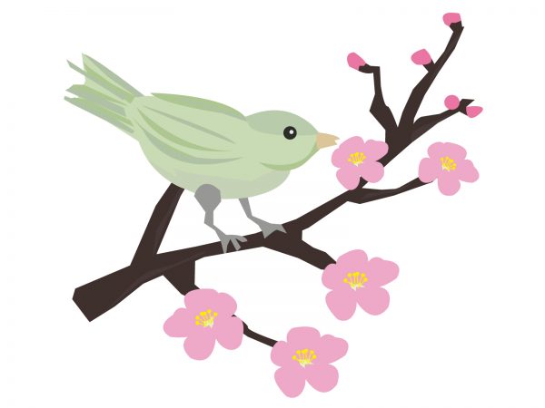 うぐいす